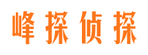 卫东调查公司